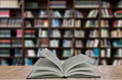 梅西大学、大学和