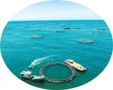 鞭策海洋财产可持