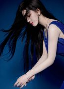 据集团无限公司成